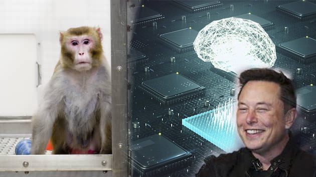 ලොව අංක එකේ ධනවතා වන එලොන් මස්ක්ගේ Neuralink සාර්ථකයිලු