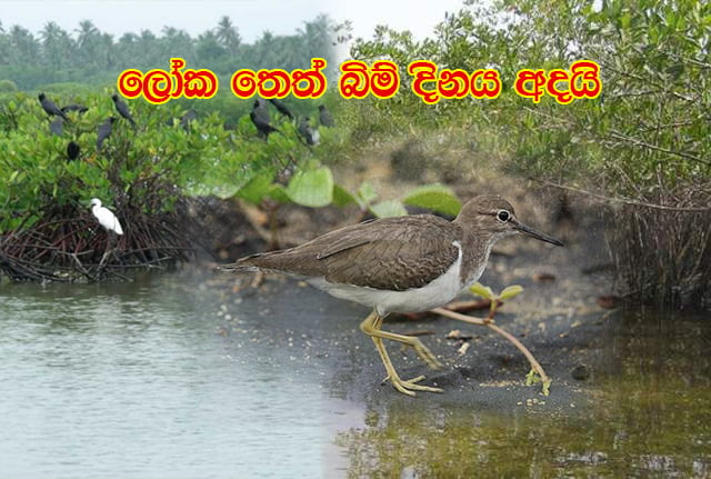 ලෝක තෙත් බිම් දිනය අදයි
