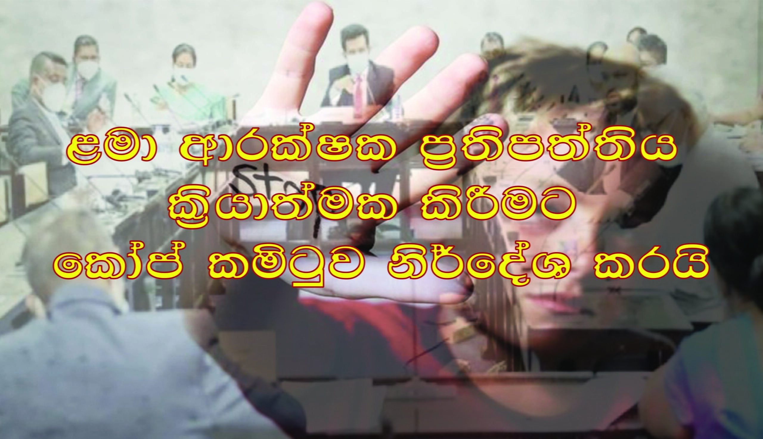 ළමා ආරක්ෂක ජාතික ප්රතිපත්තිය කඩිනමින් ක්රියාත්මක කිරීමට කෝප් කමිටුවෙන් නිර්දේශ