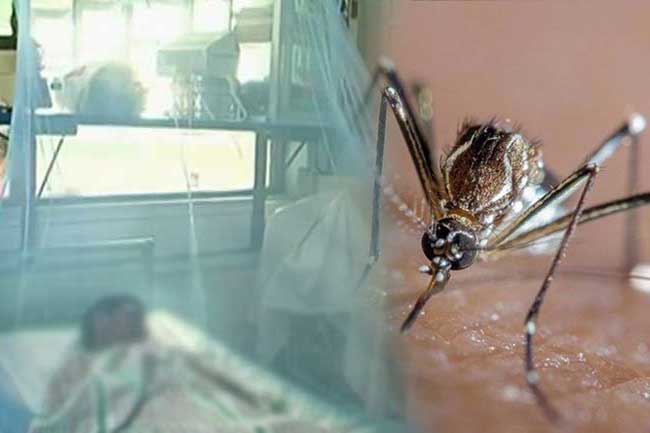 මැලේරියාව යළිත්