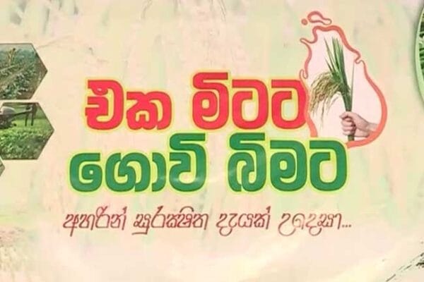 එක මිටට, ගොවි බිමට ප්රදේශ කිහිපයකදී ඇරඹෙයි