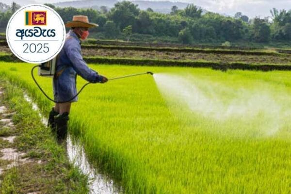 අයවැයෙන් ගොවියාට සුබ පණිවුඩයක්