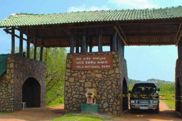යාල ජාතික වනෝද්යානය තාවකාලිකව වසා දැමේ