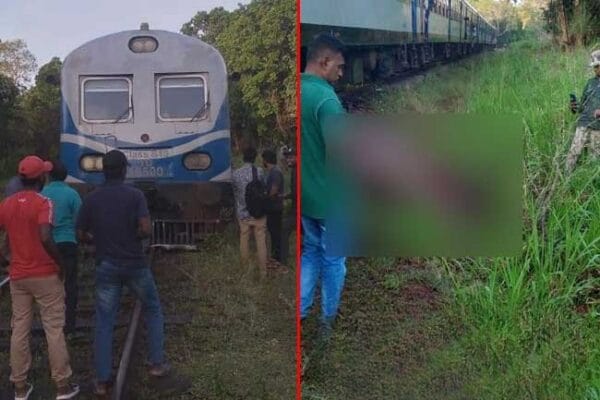 මීනගයා පීලි පනී